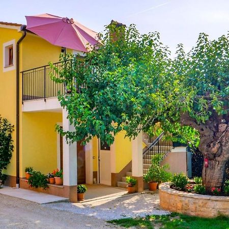 Studio Apartment Gianni Vižinada Zewnętrze zdjęcie