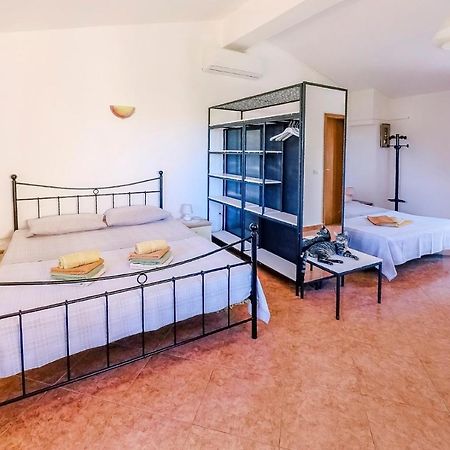 Studio Apartment Gianni Vižinada Zewnętrze zdjęcie