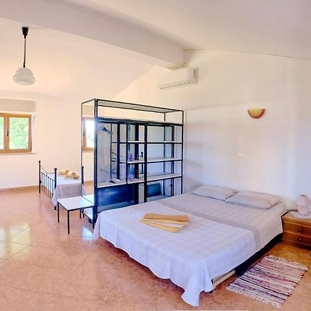 Studio Apartment Gianni Vižinada Zewnętrze zdjęcie