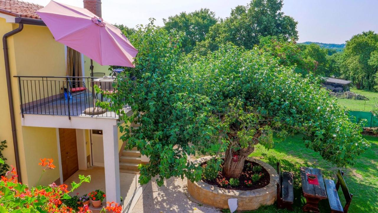 Studio Apartment Gianni Vižinada Zewnętrze zdjęcie