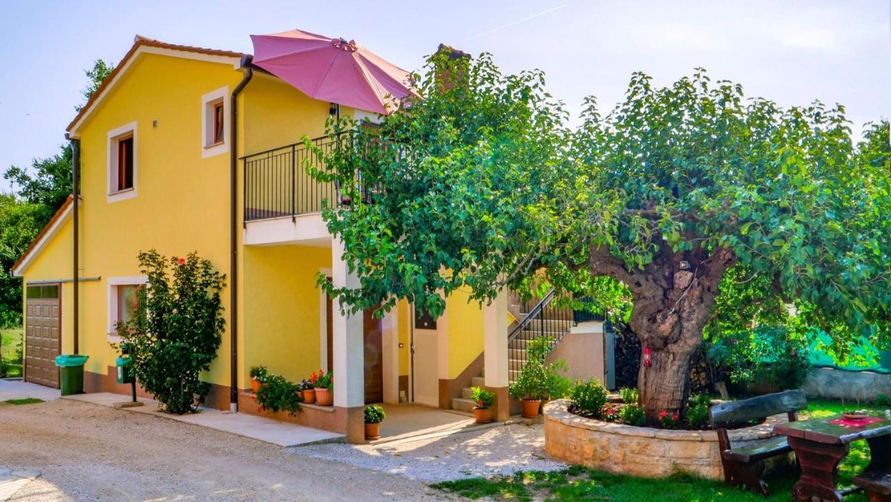 Studio Apartment Gianni Vižinada Zewnętrze zdjęcie