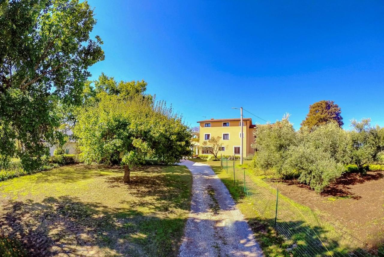 Studio Apartment Gianni Vižinada Zewnętrze zdjęcie