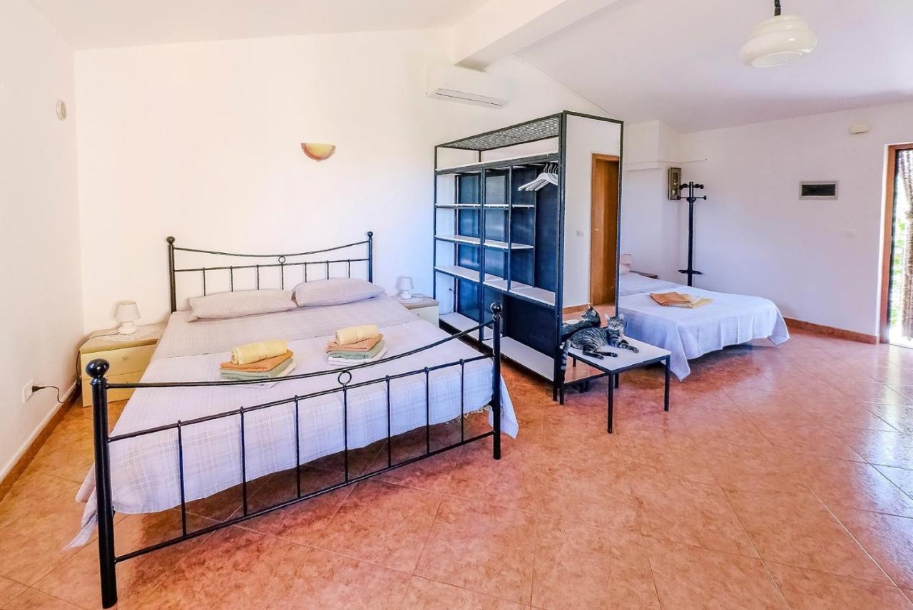 Studio Apartment Gianni Vižinada Zewnętrze zdjęcie
