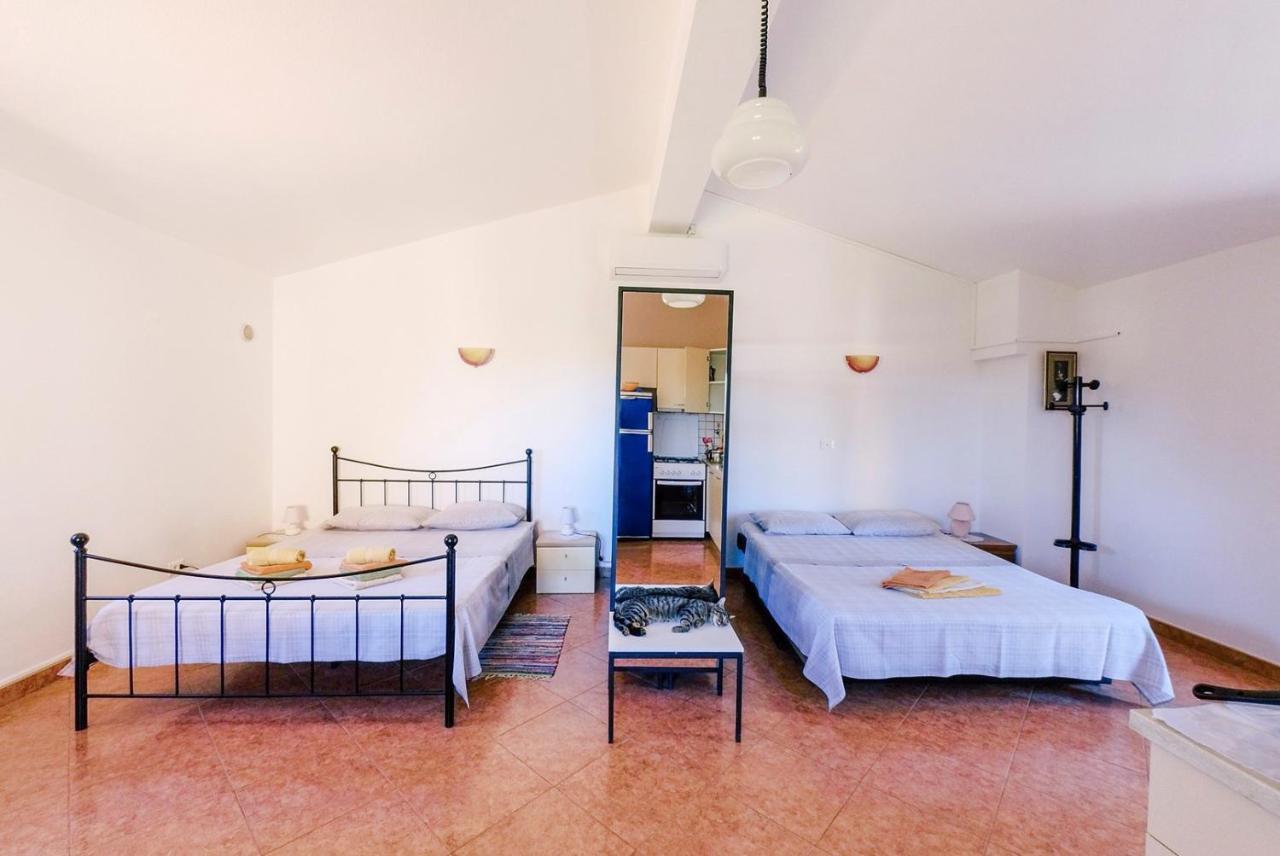Studio Apartment Gianni Vižinada Zewnętrze zdjęcie